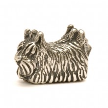 Scottish Terrier