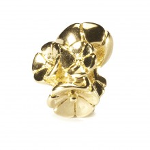 Forget Me Not, Gold