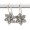 Snow Star, Earring Accessories on hooks
