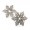 Snow Star, Earring Accessories