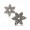 Snow Flower, Earring Accessories