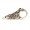 Lace Lock, Silver