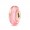 Rose Ribbon