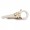 Gold Flower Clasp
